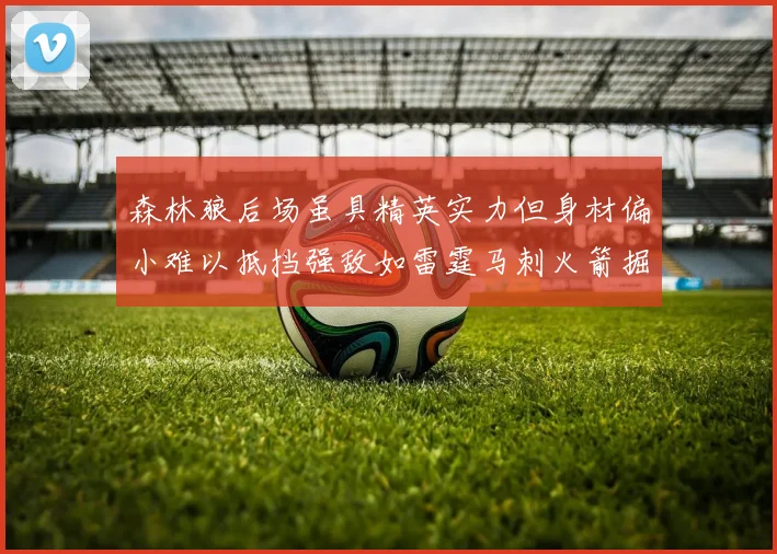 森林狼后场虽具精英实力但身材偏小难以抵挡强敌如雷霆马刺火箭掘金